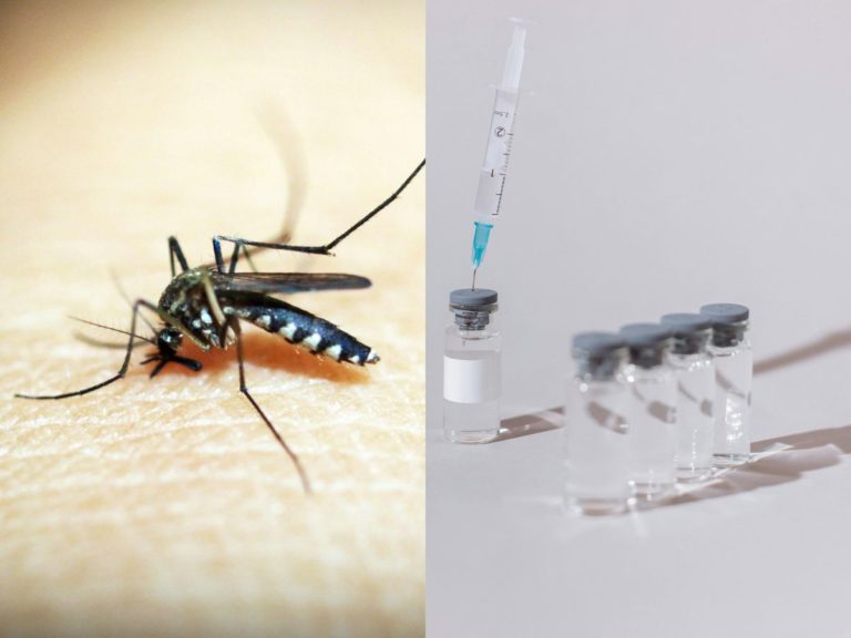 dengue