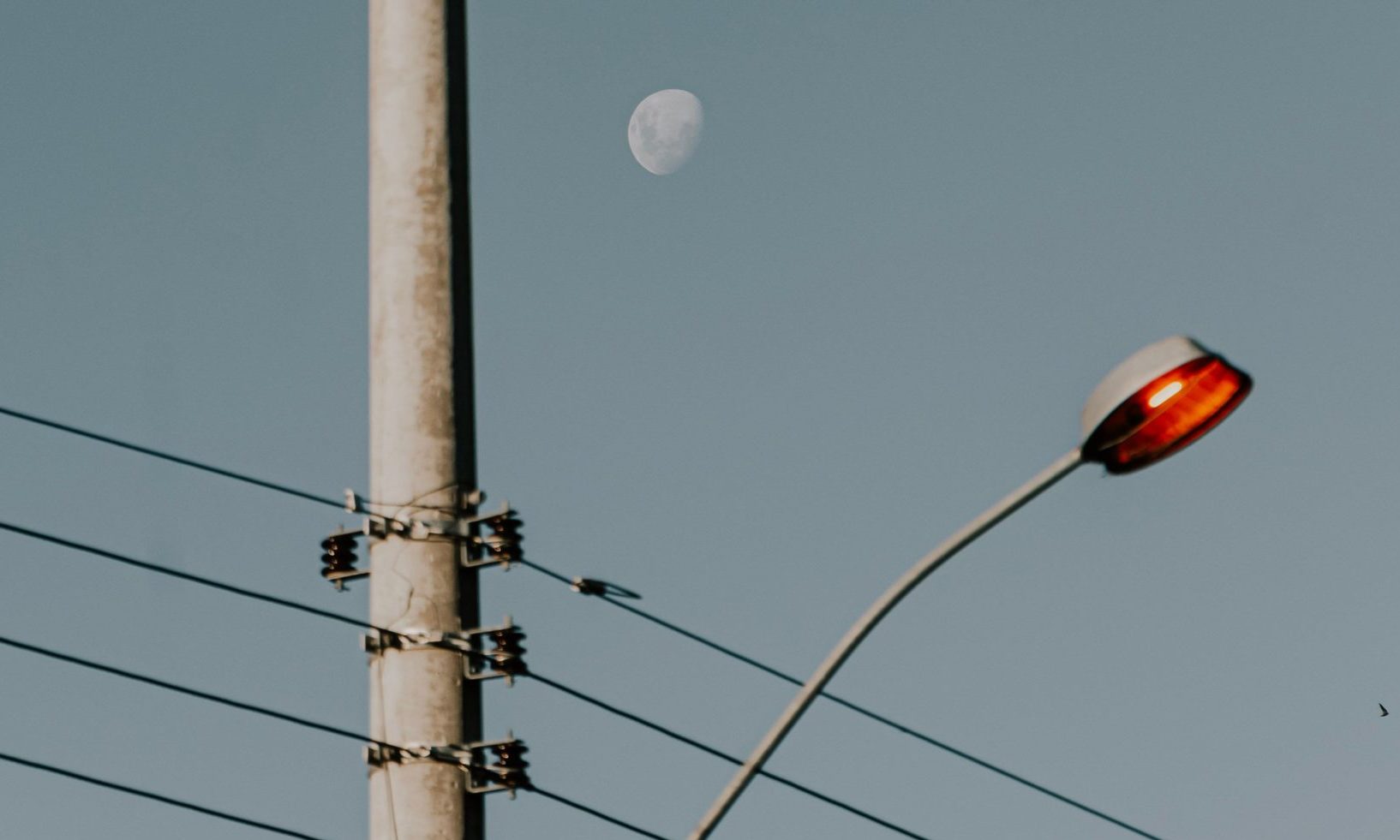 pexels-carlaschizzi-16632874