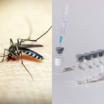 dengue